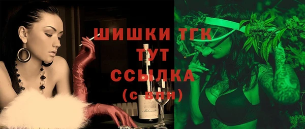 индика Навашино