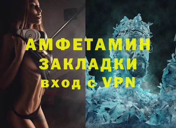 гидра Надым