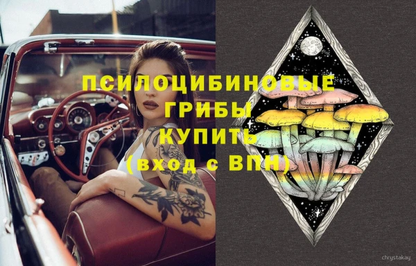 гидра Надым