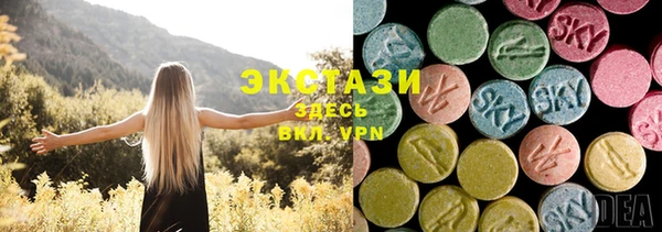 гидра Надым