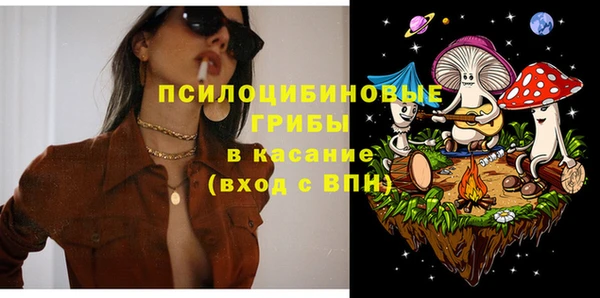 индика Навашино