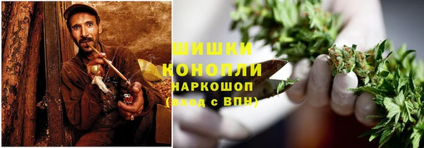 гидра Надым