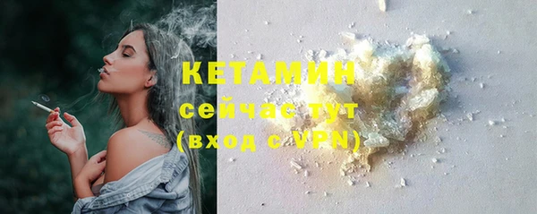гидра Надым