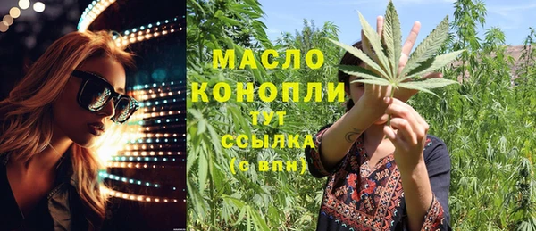 гидра Надым