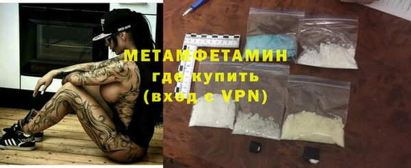 гидра Надым