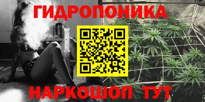 дурь Камышлов