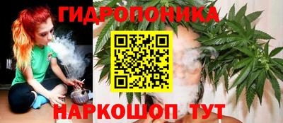 jwh Кандалакша