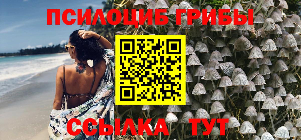 Псилоцибиновые грибы мухоморы  Красногорск 