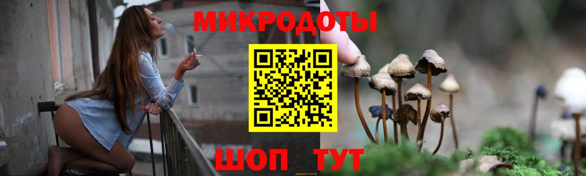 Псилоцибиновые грибы GOLDEN TEACHER Красногорск